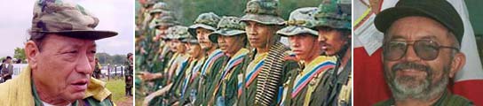 Las FARC continuarán con la lucha armada