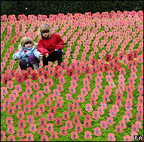 Campo den Flanders, Bélgica, lleno de amapolas de papel con mensajes para los seres queridos.