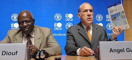 El director general de la FAO, Jacques Diouf (izq.) y el secretario general de la OCDE, Ángel Gurría. (Foto: AFP)