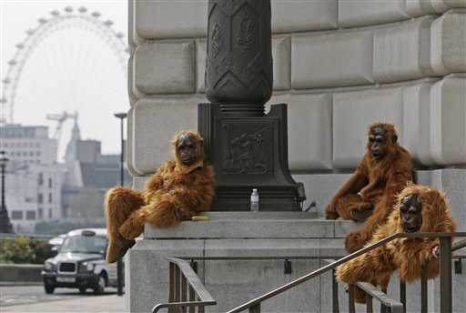 Manifestantes de Greenpeace se disfrazaron de monos y se apostaron a las puertas de la sede de Unilever en Londres para protestar los daños ecológicos causados por esta empresa. SANG TAN / AP 