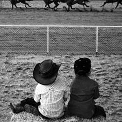 Otra de las imágenes premiadas, con unos niños mirando una carrera de caballos en Australia.